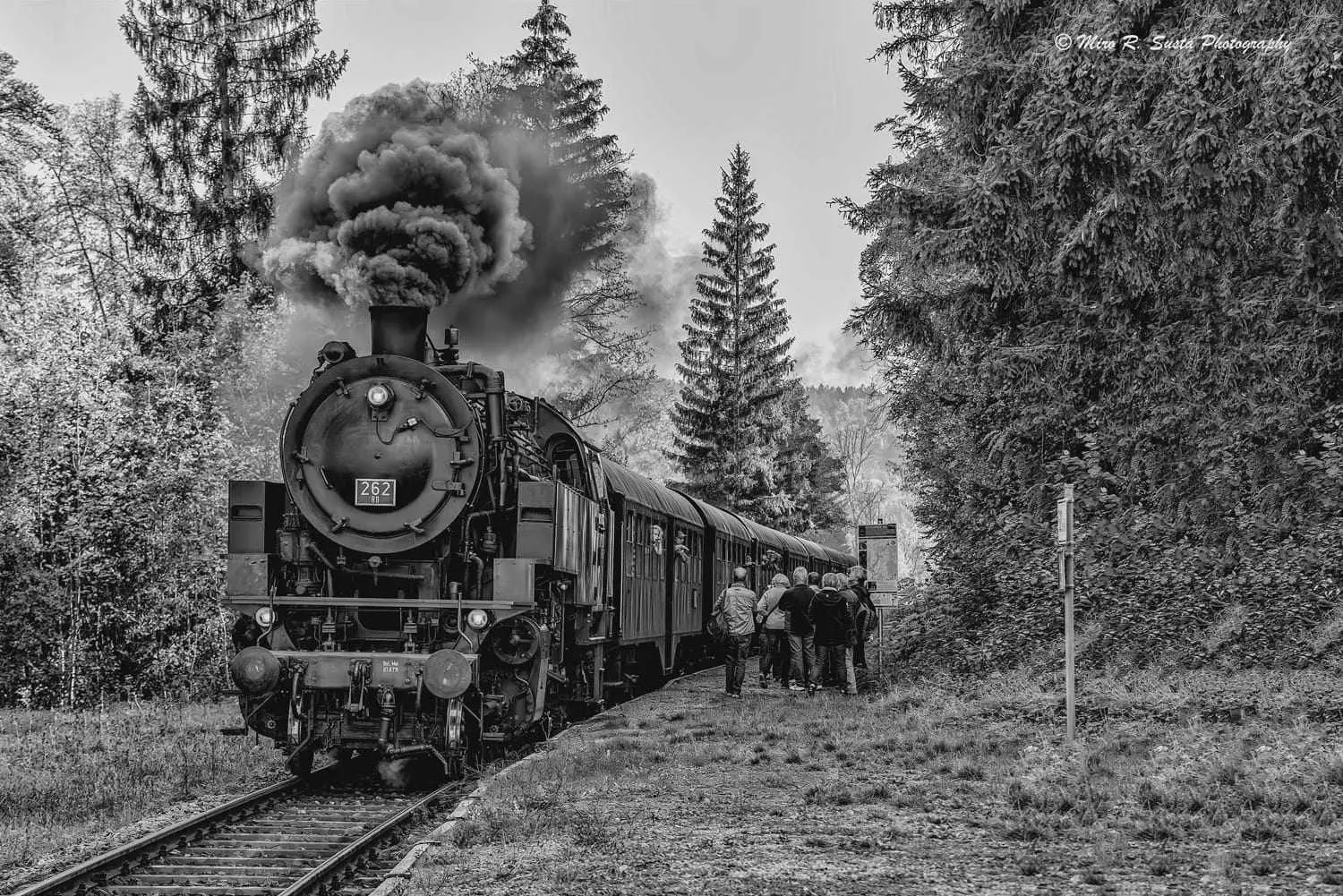 Train - black and white picture by Miro Susta